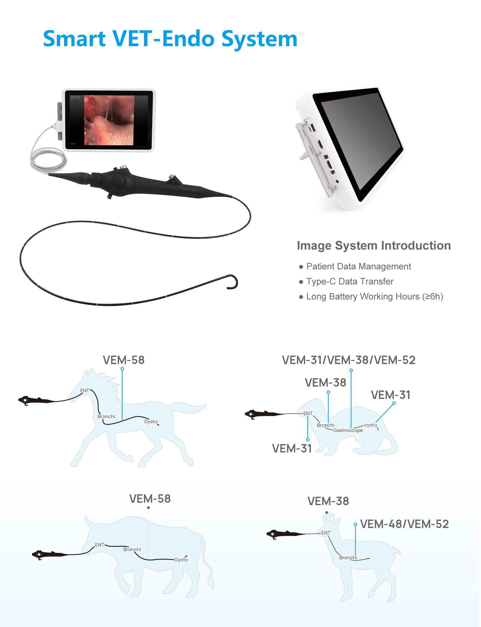 Flexible Veterinary  Endoscope,VEM