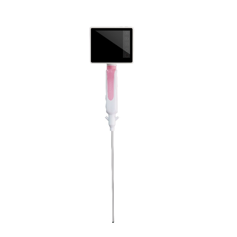 Disposable Video Hysteroscope, DEHS
