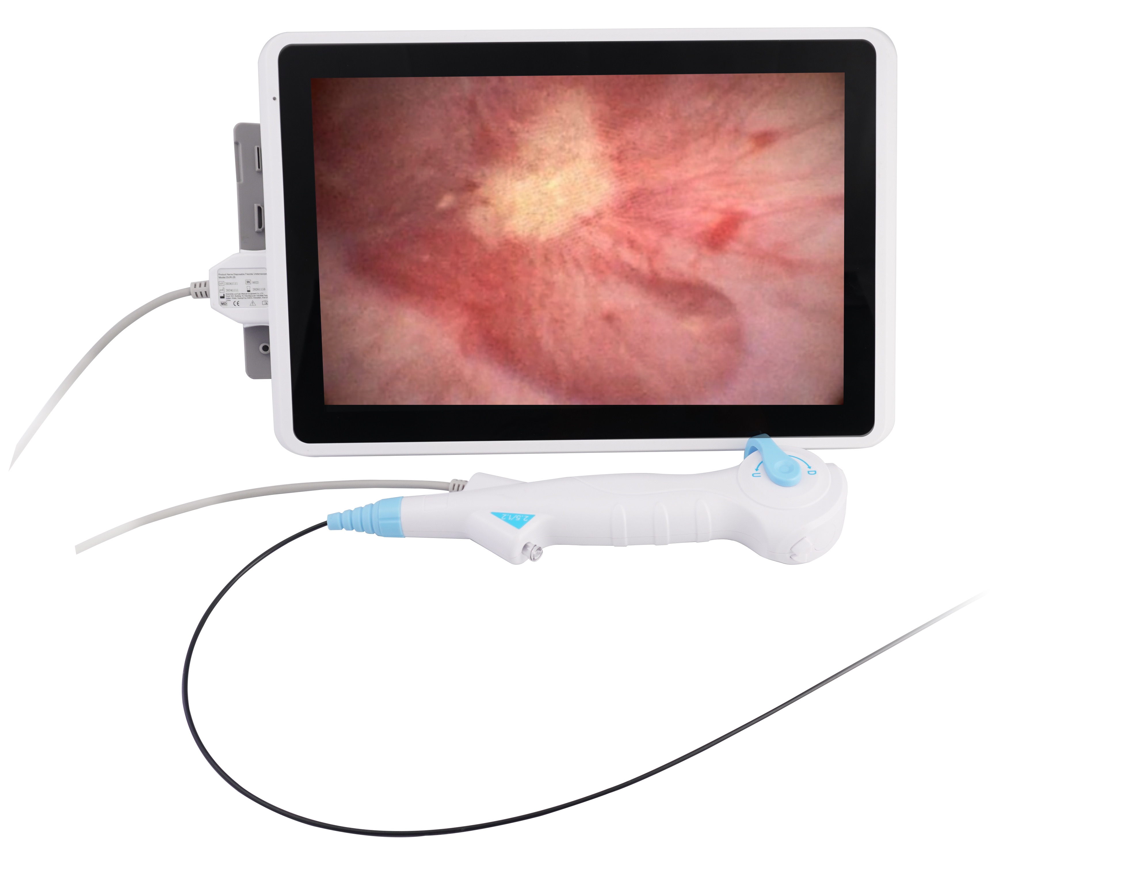 Disposable Flexible Ureteroscope, DUR