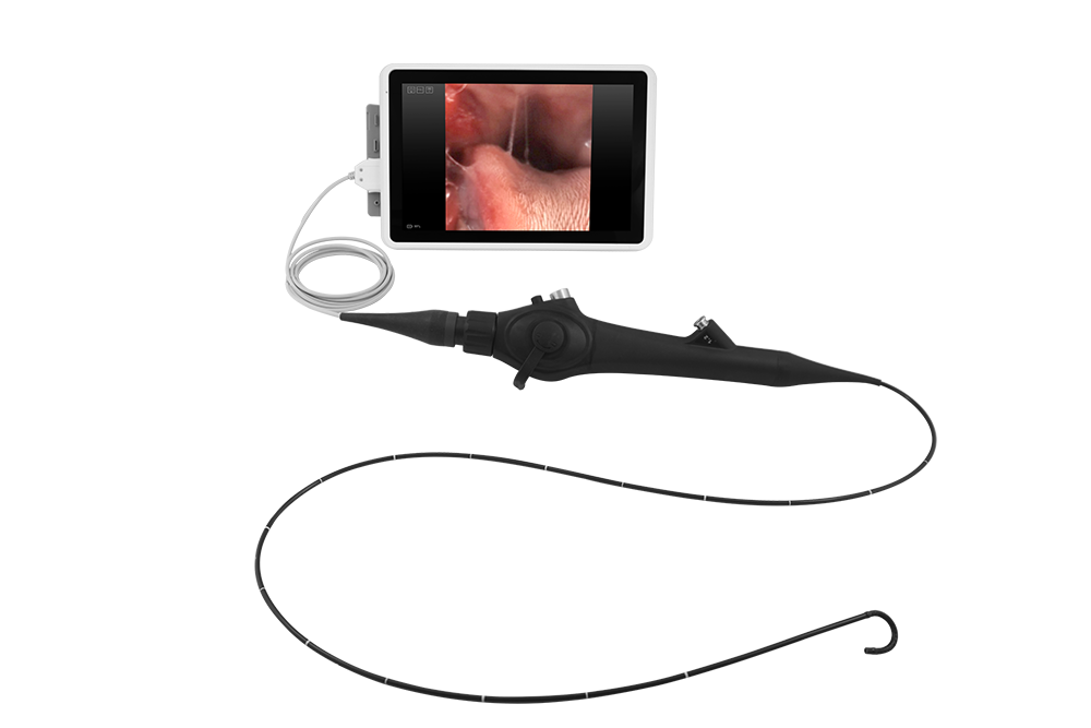 Flexible Veterinary  Endoscope, VEM