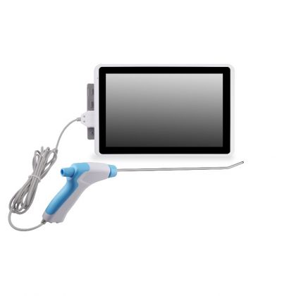 Disposable Video Hysteroscope, DEHS